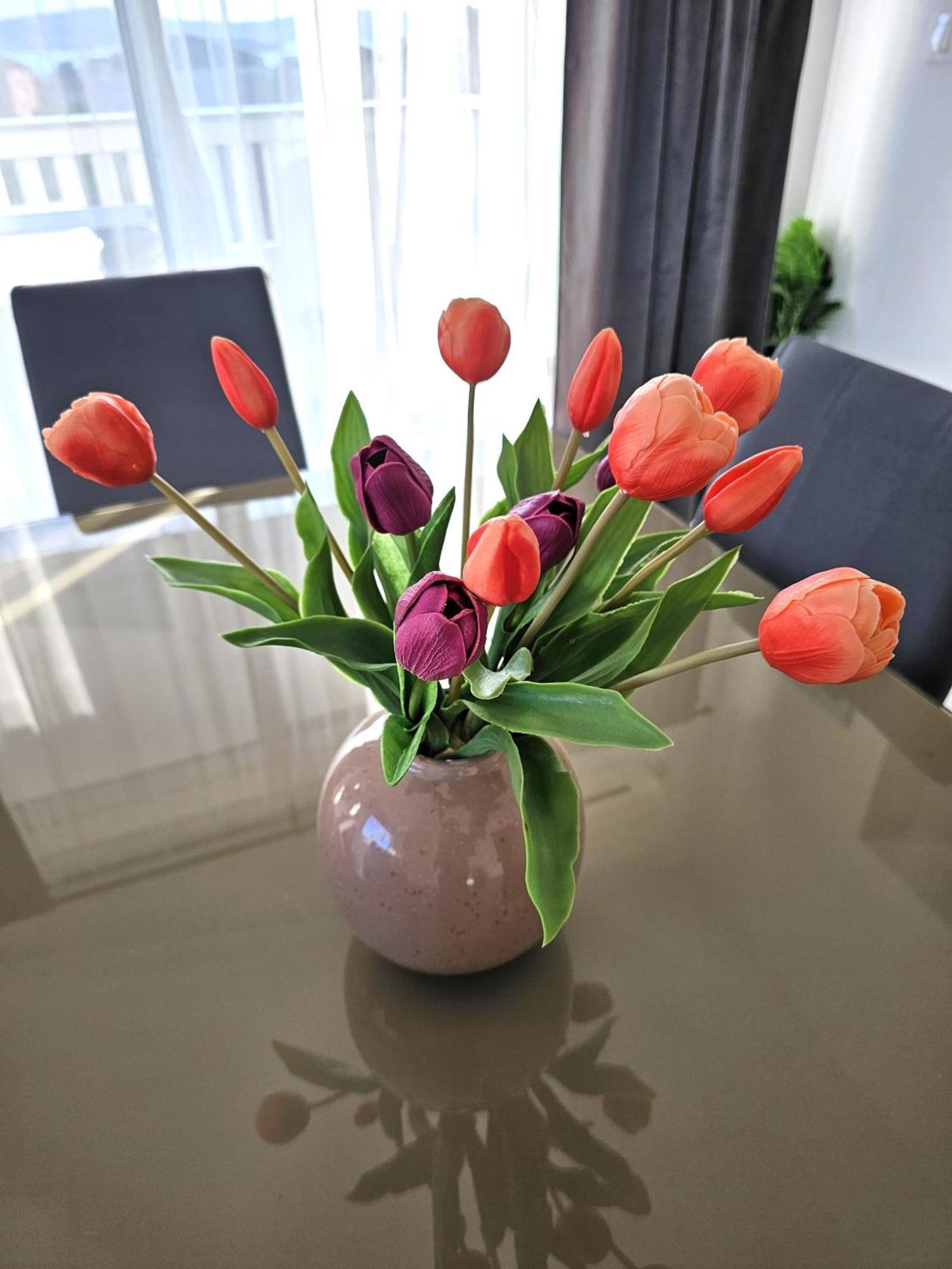 Apartment Zara Biograd na Moru Kültér fotó