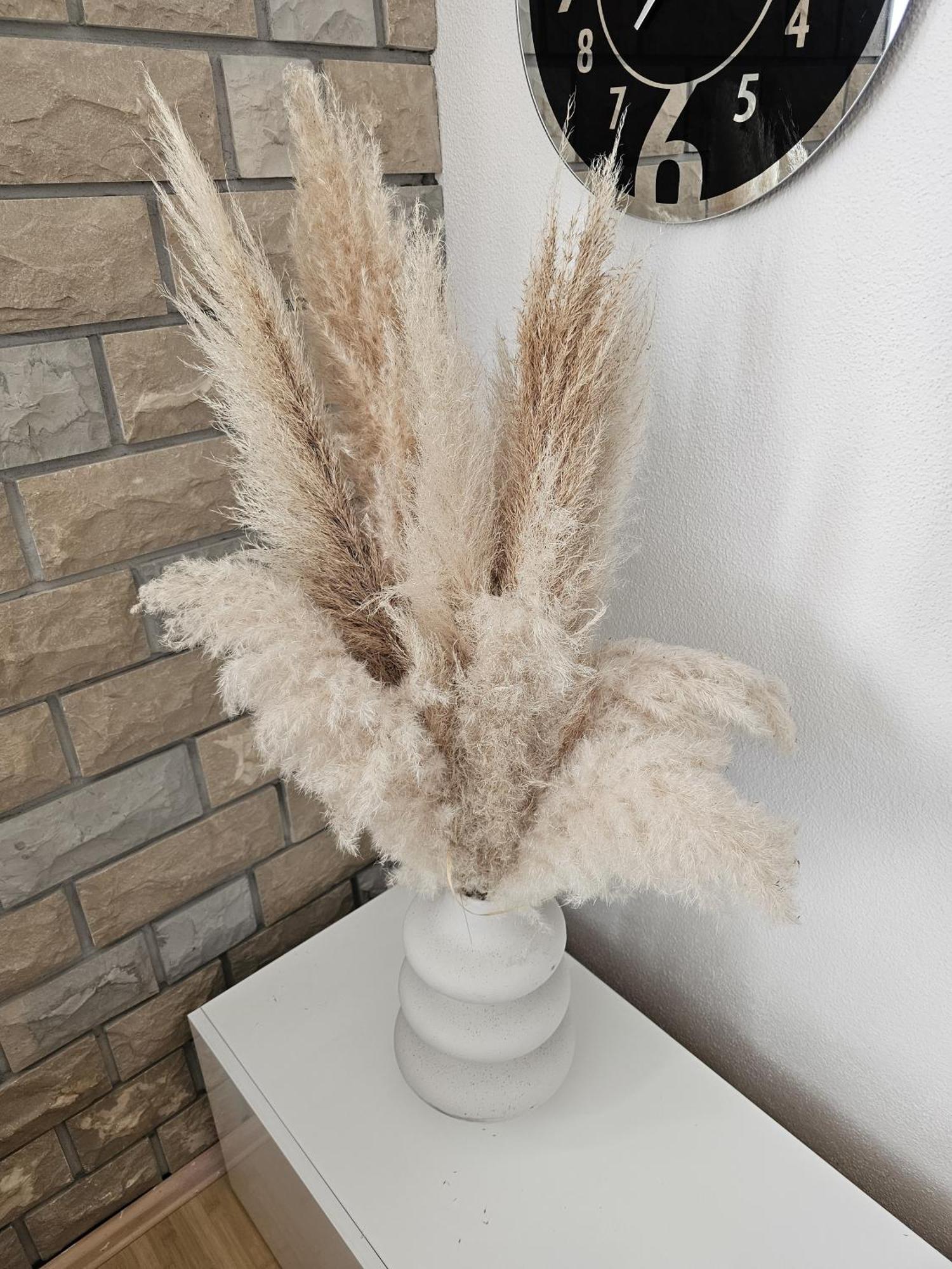 Apartment Zara Biograd na Moru Kültér fotó